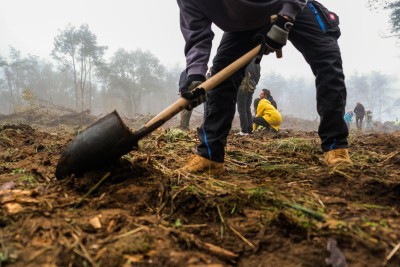 tree-planting-carousel-image